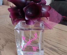 EMPTY Decorative Vera Wang Perfume Bottle