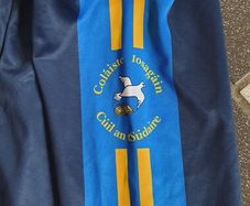 As New - Size 38 - Medium - Colaiste Iosagain School Uniform Shorts - #