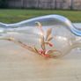 Hand-painted glass vase Image 4
