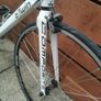 BTwin Image 5