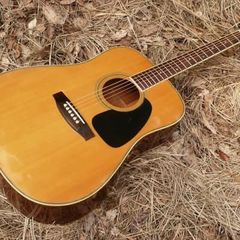 Vintage Tackamine D30 Acoustic guitar 1990