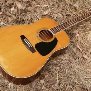 Vintage Tackamine D30 Acoustic guitar 1990