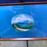 Large Vintage Teak Tray Image 6