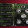 314 Euro issue price - 5 X Silver Tropical Zone coin medal set with Germany 5 euro 2018 Image 4