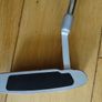 Lynx Crystal Ladies Putter Image 2