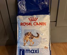 dog food royal canin