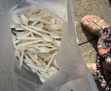 Free bag of large plastic spoons unused.