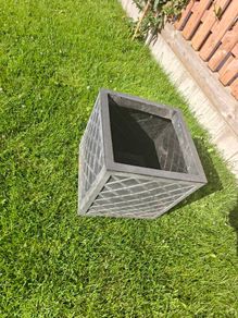 Plant Pot