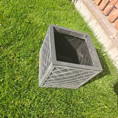 Plant Pot