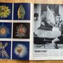 Life Magazine May 31 1943 Image 3