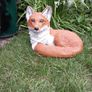 Fox Family Image 3