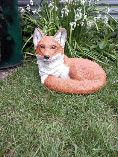 Fox Family
