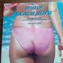 Beach Boys Old Vinyl Image 3