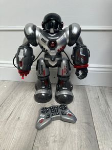 Remote control robot