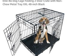 XXL 2 Door Crate (Folding)