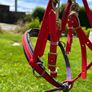 Assorted Horse equipment Image 3