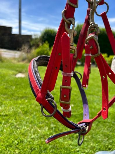 Assorted Horse equipment