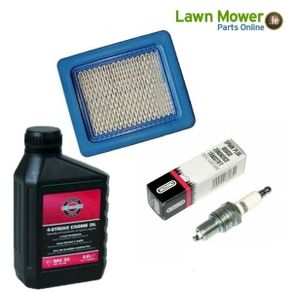 briggs and stratton service kit