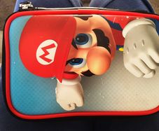 Mario 3DS case