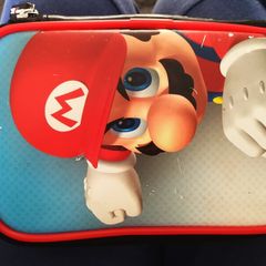 Mario 3DS case