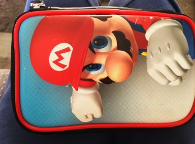 Mario 3DS case