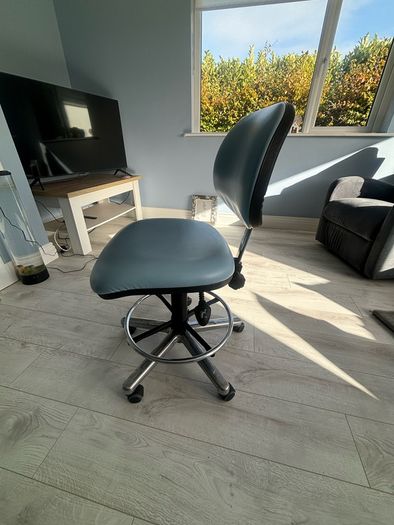 Therapists chair