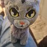 Warrior cats series one Image 2