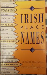 Irish Place Names by Deirdre And Laurence Flanagan