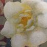 Watercolour by James Gray Image 3