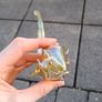Glass smoking pipe Image 8