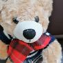 Teddy Bear Image 2