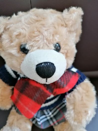 Teddy Bear