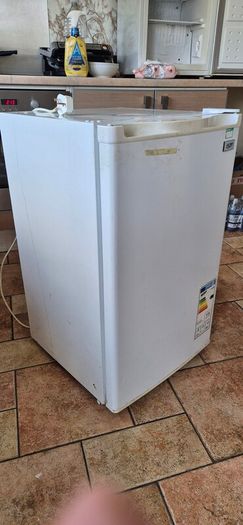 Compact Thor Under-Counter Fridge