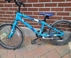 Cuda Mayhem 20 inch Kids Bike