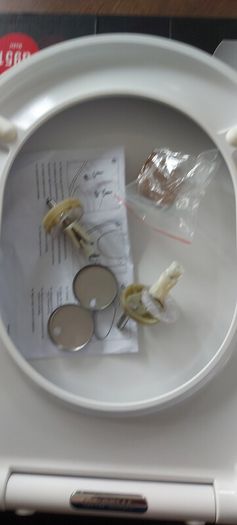Toilet seat