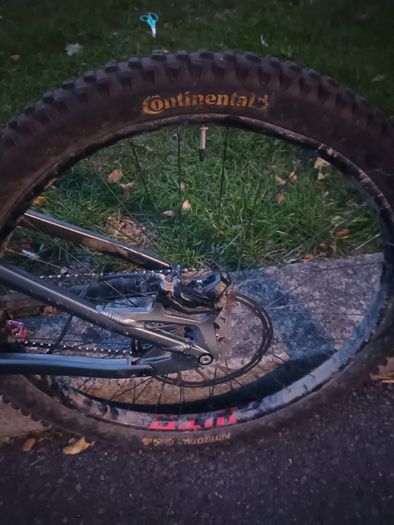 Vitus dh bike