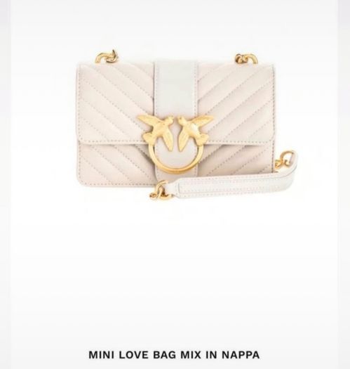 Pinko bag