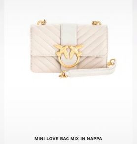 Pinko bag
