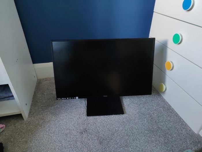 Iiyama Computer Screen / Monitor 23.6''