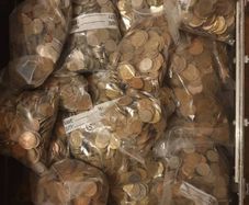 40kg Of Cions Most Is Irish