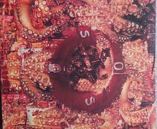 Wir - So and Slow it Grows 12" Vinyl