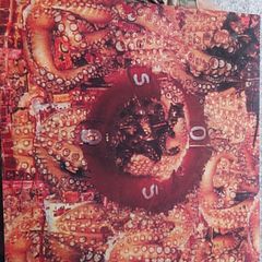 Wir - So and Slow it Grows 12" Vinyl