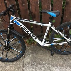 Laux Jack bike
