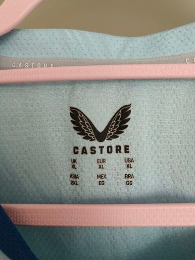 Castore Adults Leinster Rise Pro T-Shirt