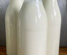 Raw organic goats milk (price including bottle lease)