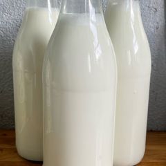 Raw organic goats milk (price including bottle lease)