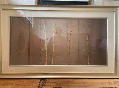 Beautiful Limited Edition print and frame