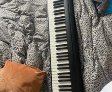 Roland FP-10, Electric Piano/Keyboard