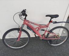 19" Bicycle