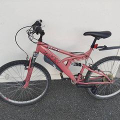19" Bicycle